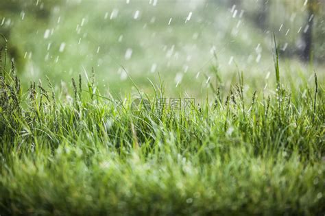 下雨的图片|超过 400 张关于“下雨天”和“雨”的免费图片